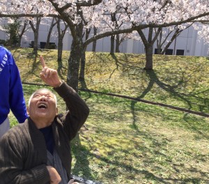 石ヶ谷　花見 110