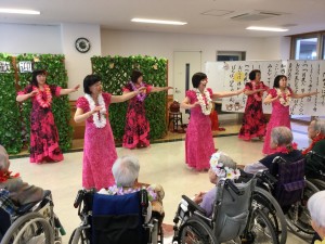 290530ハイビスカス 084