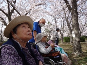 ３花見