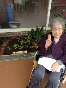 ４枚目