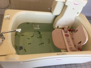 変わり風呂　ブログ 010