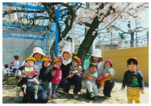 保育園の桜