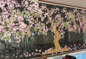 桜準備②
