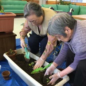 3特　園芸クラブ　野菜 004