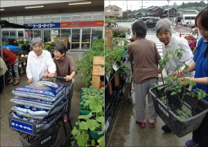 園芸1