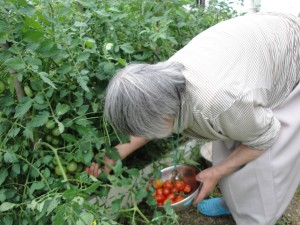 DSC00292