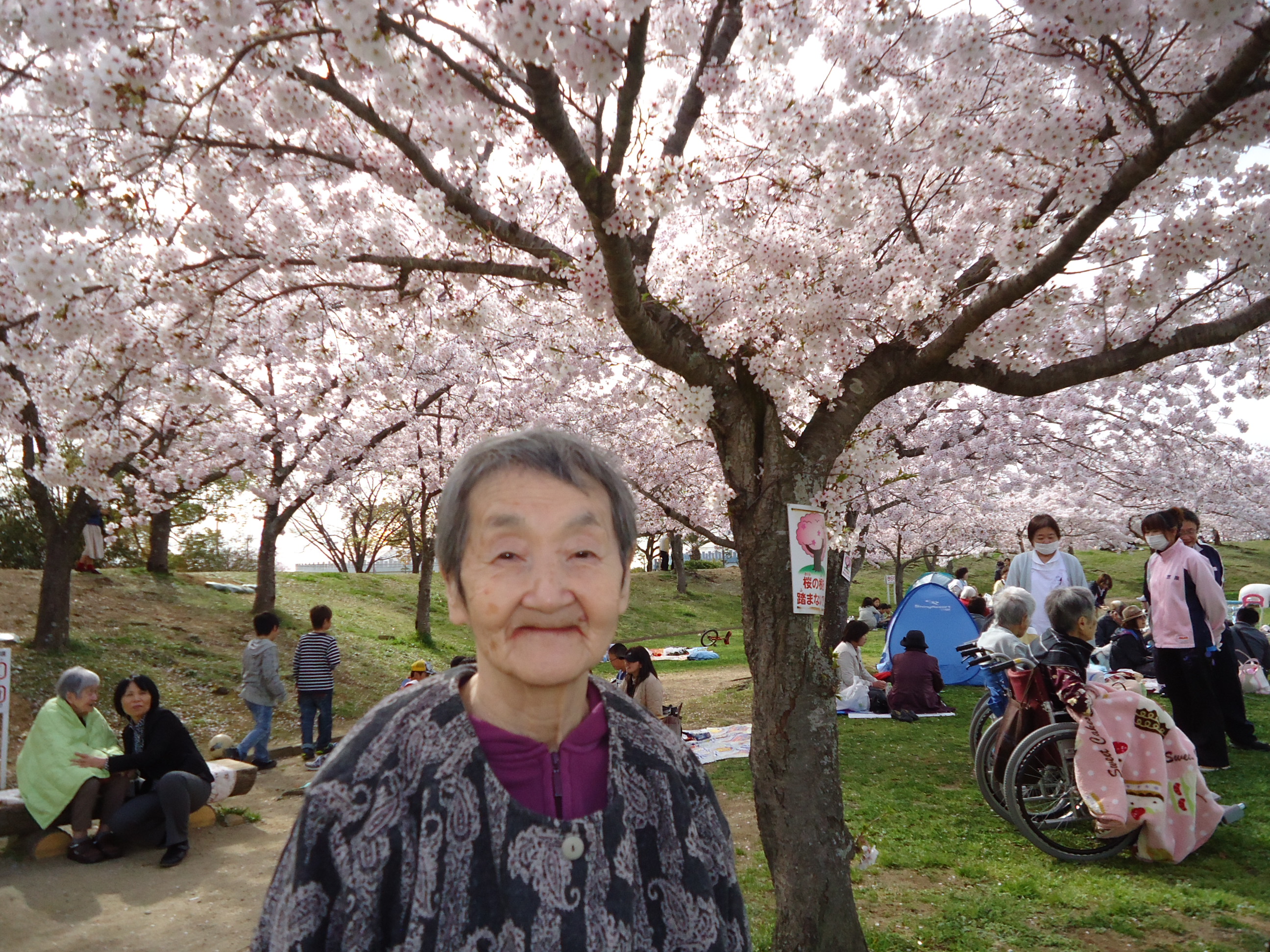 DSC05195