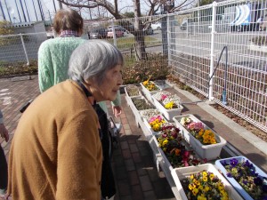 DSCN0465