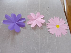 DSCN4718