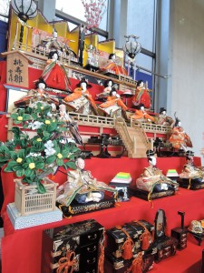 DSCN6782