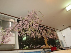 桜準備④