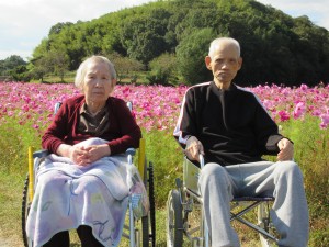 1特コスモス②