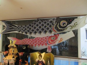 IMG_2081