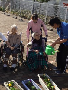 園芸　2018　冬 070