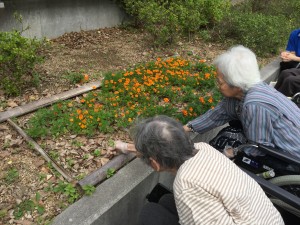 画像 001