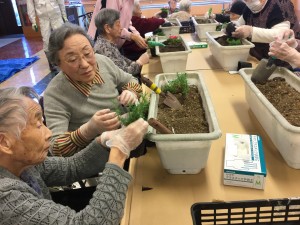 園芸　2018　冬 045