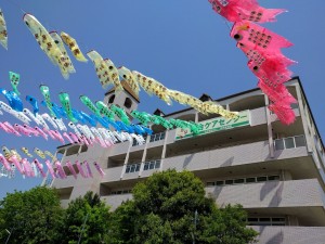 koinobori
