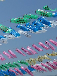 koinobori2